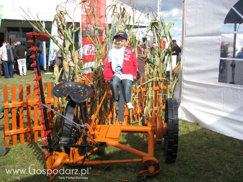 Agro Show 2013 Bednary Zdjęcie z krówką