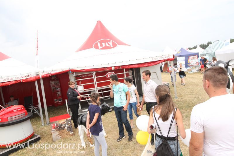 Lely na OPOLAGRA Kamień Śląski 2018