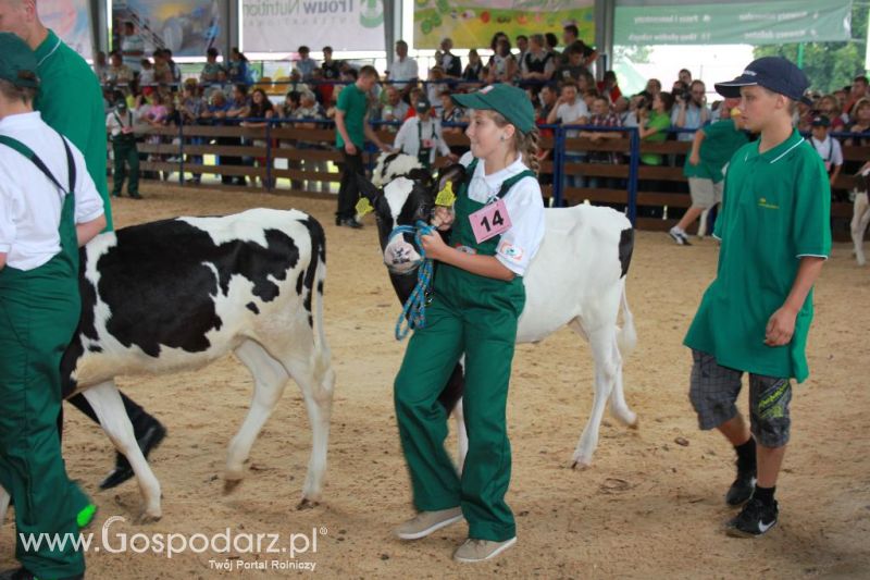 Młody Hodowca - Szepietowo 2013 XX Regionalna Wystawa Zwierząt Hodowlanych