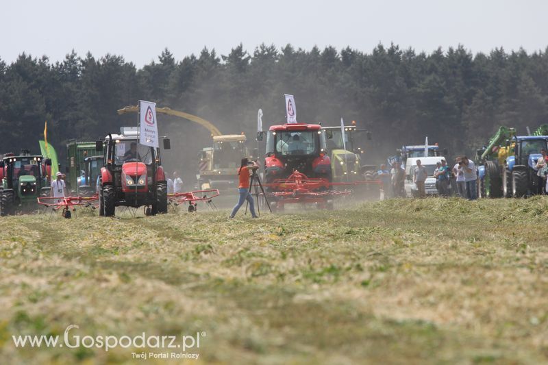 Pokazy polowe podczas targów OPOLAGRA 2015