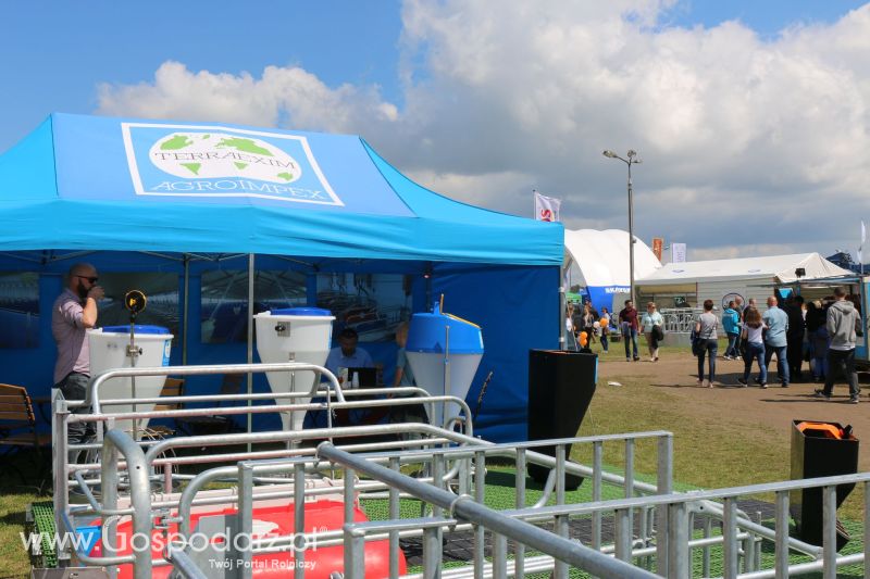 Terraexim-Agroimpex na AGRO-TECH Minikowo 2017
