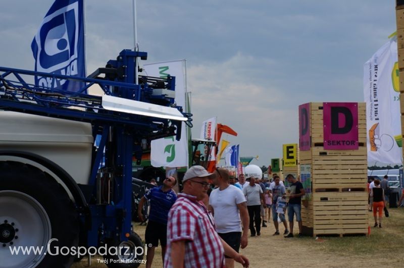 OPOLAGRA 2015 w Kamieniu Śląskim