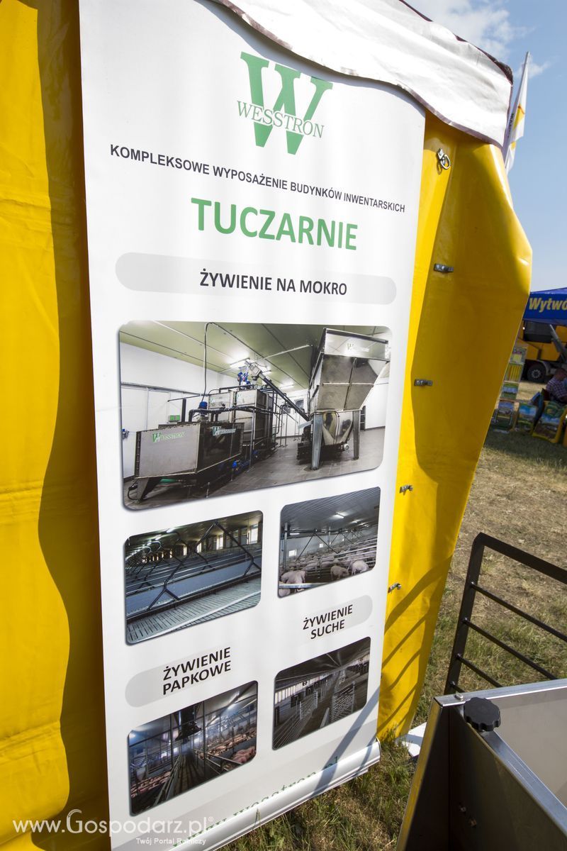 WESSTRON na OPOLAGRZE 2015