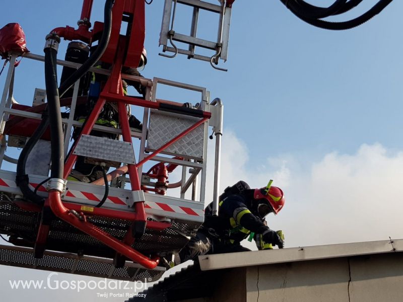 Pożar kurnika w Wielkopolsce