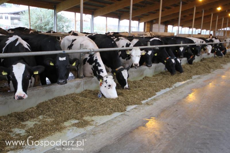 Wyjazd studyjny na farmę Langengrassau w Niemczech