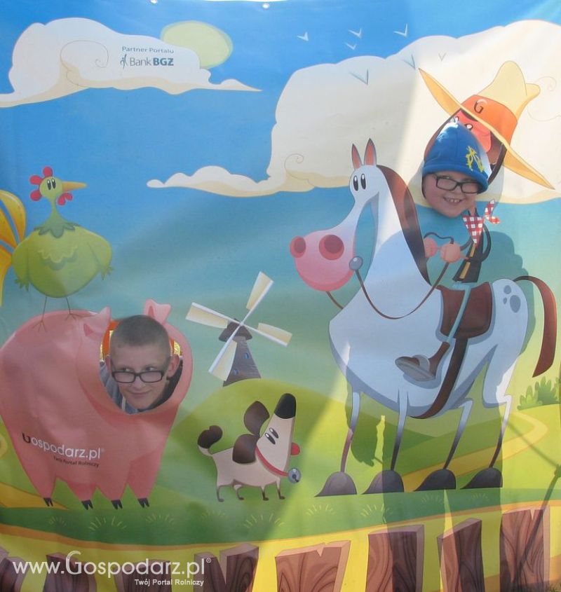 Zdjęcia ze świnką na Agro Show 2012 niedziela
