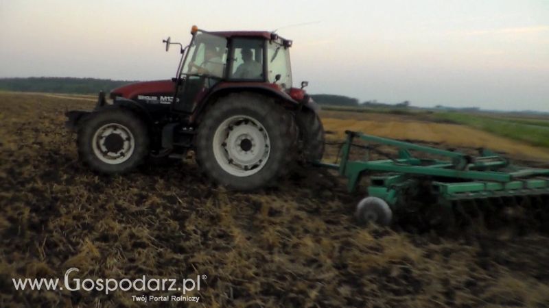 Talerzowane 2013 