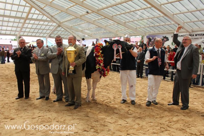 Championi VII Ogólnopolskiej Wystawy Bydła Hodowlanego - Sielinko 2012