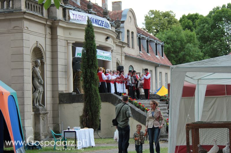 XX Targi Rolnicze Lubniewice 