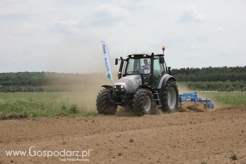 Opolagra 2011