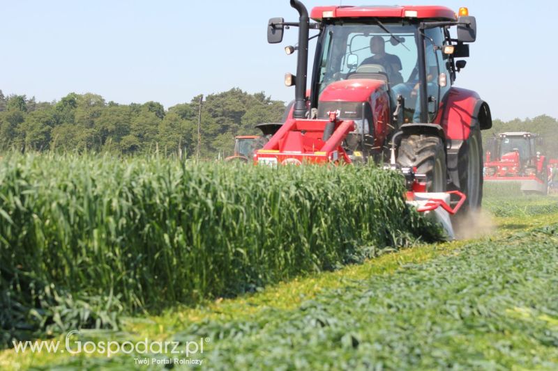 Zielone AGRO SHOW – POLSKIE ZBOŻA 2014 w Sielinku - niedziela