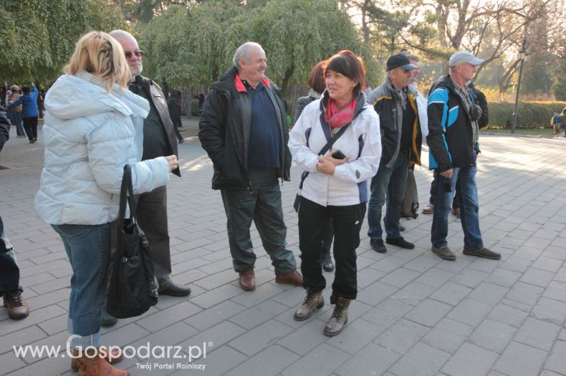 Gospodarz.pl w Chinach