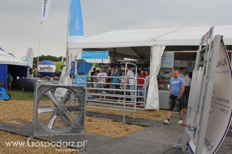 Euromilk - Szepietowo 2013