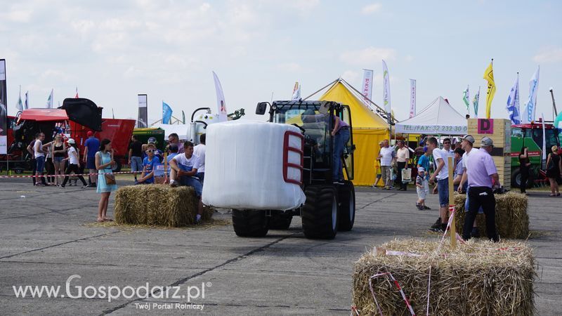 Pokazy polowe podczas targów OPOLAGRA 2015