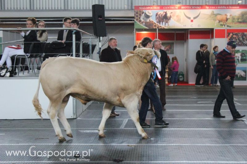 XXVI Krajowa Wystawa Zwierząt Hodowlanych - sobota i niedziela