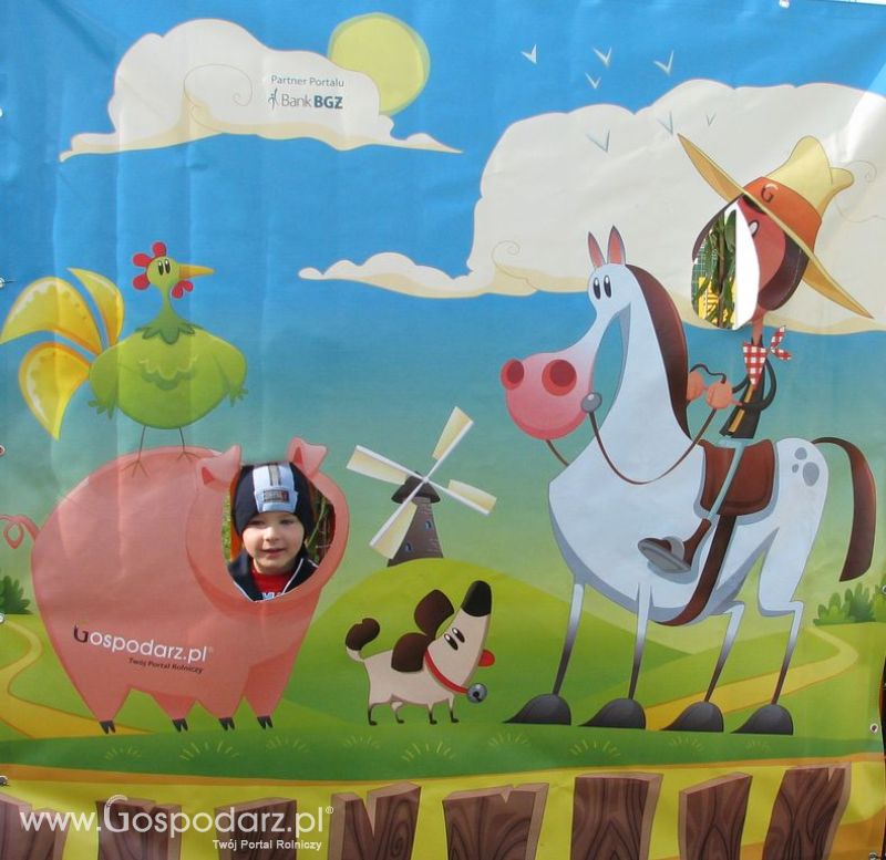 Zdjęcia ze świnką na Agro Show 2012 piątek