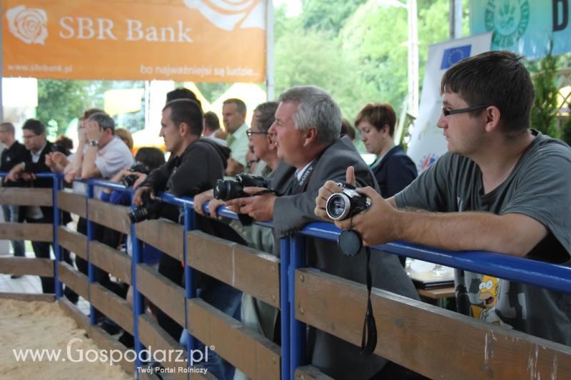 Regionalna Wystawa Zwierząt Hodowlanych i Dni z Doradztwem Rolniczym w Szepietowie-niedziela