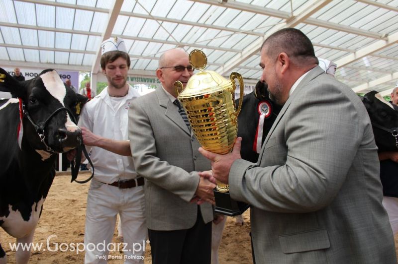 Championi VII Ogólnopolskiej Wystawy Bydła Hodowlanego - Sielinko 2012