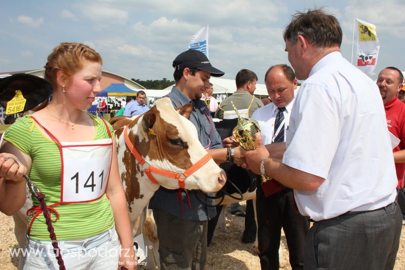 Superchampioni i championi Śląskiej Wystawy Bydła Mlecznego Opolagra 2011