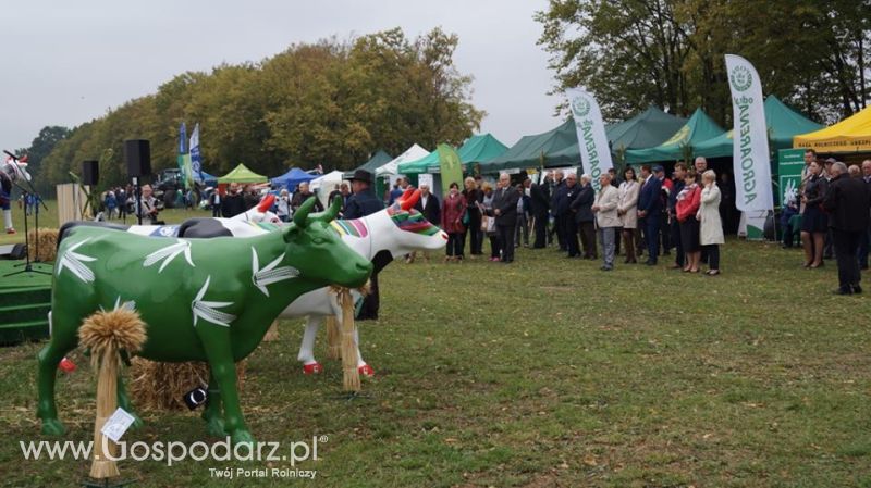 Podlaski Dzień Kukurydzy 2015