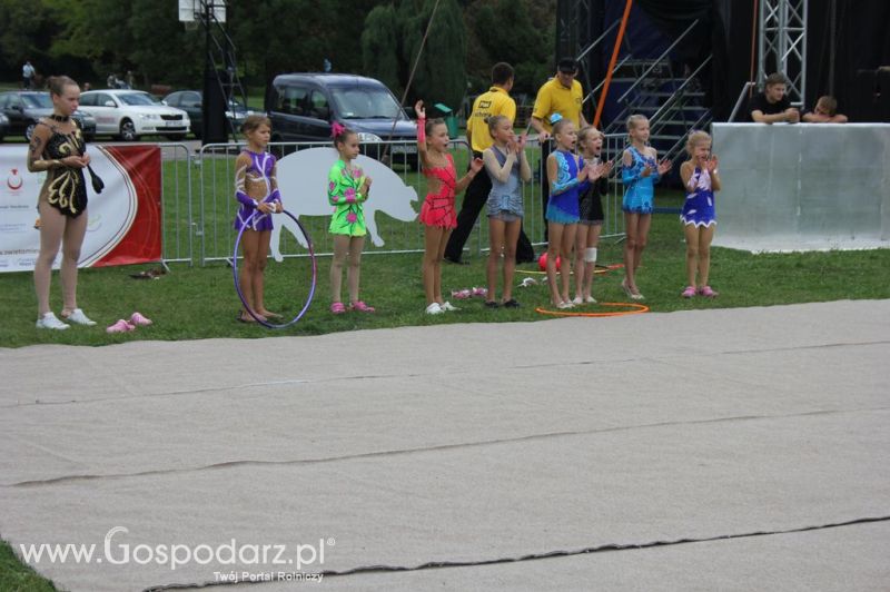 Świętomięs Polski w Chorzowie