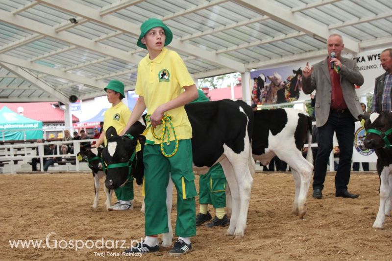 Mali Hodowcy VII Ogólnopolska Wystawa Bydła Hodowlanego w Sielinku 2012