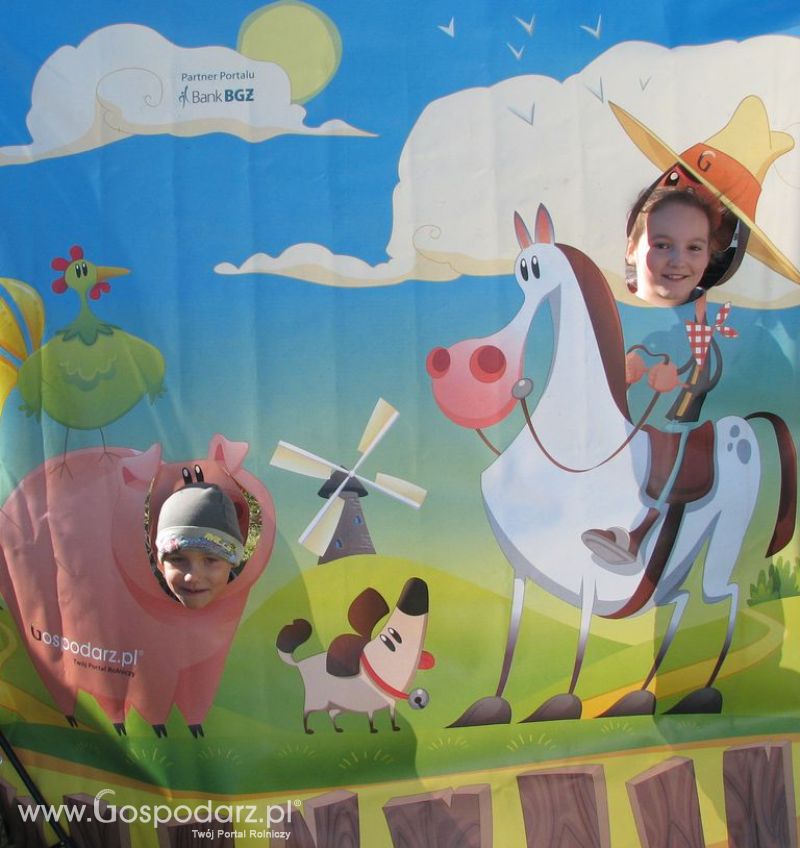 Zdjęcia ze świnką na Agro Show 2012 niedziela