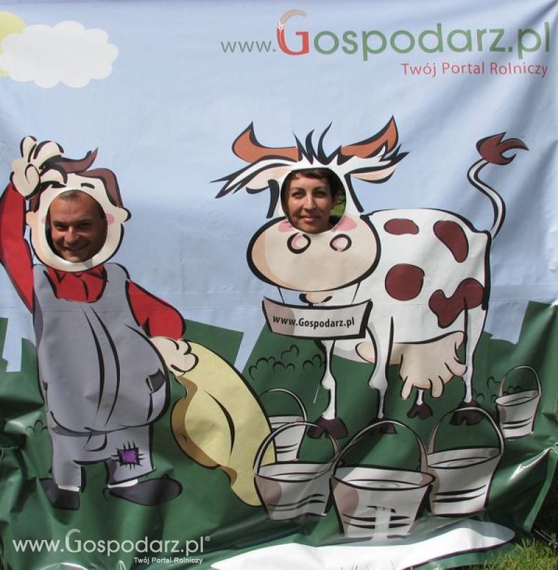 Wielkopolskie Targi Rolnicze „Sielinko 2011”  - Krówka Gospodarza
