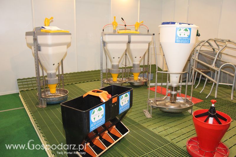 Fotorelacja z XVII Międzynarodowych Targów Techniki Rolniczej AGROTECH i XI Targów Przemysłu Drzewnego i Gospodarki Zasobami Leśnymi LAS-EXPO dzień 2