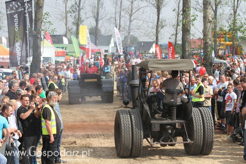 Targi Roltechnika w Wilkowicach 2015