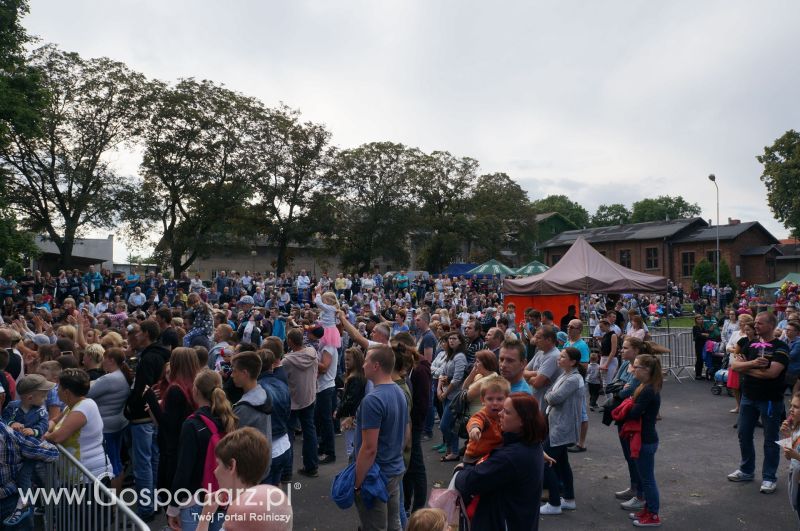 V Ogólnopolski Festiwal Wieprzowiny w Koźminie Wielkopolskim