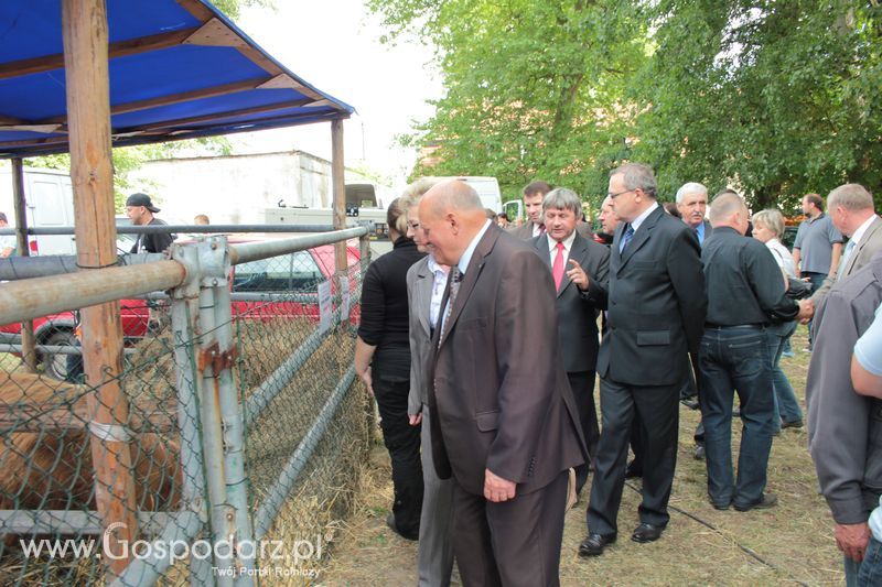  XX Targi Rolnicze Lubniewice