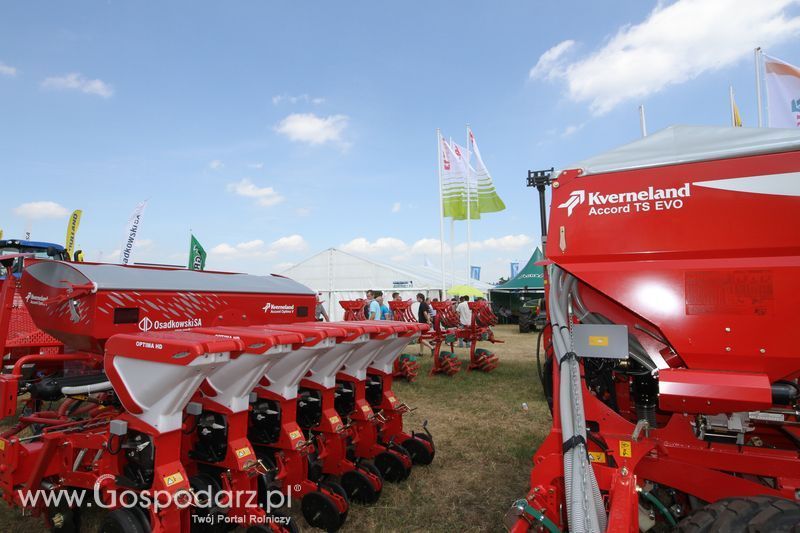 OPOLAGRA 2015 w Kamieniu Śląskim