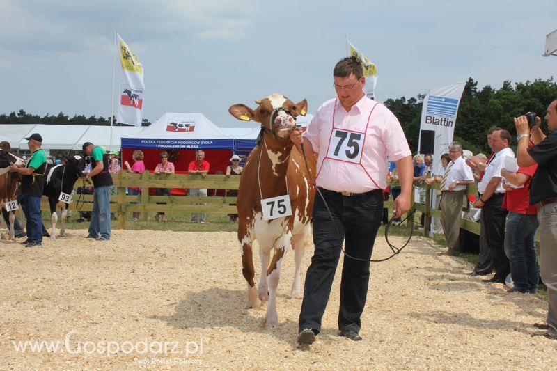 Superchampioni i championi Śląskiej Wystawy Bydła Mlecznego Opolagra 2011