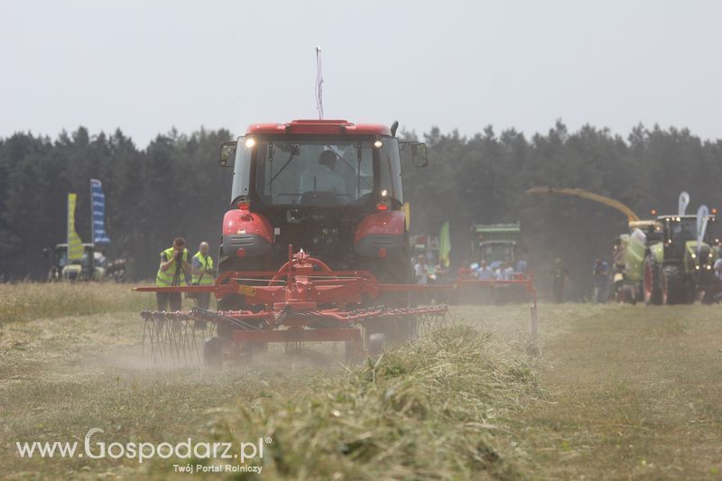 Pokazy polowe podczas targów OPOLAGRA 2015