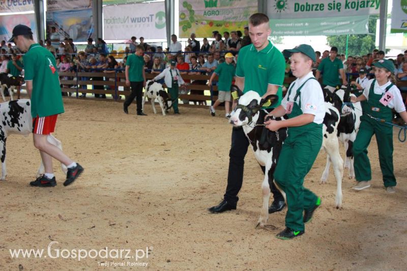 Młody Hodowca - Szepietowo 2013 XX Regionalna Wystawa Zwierząt Hodowlanych