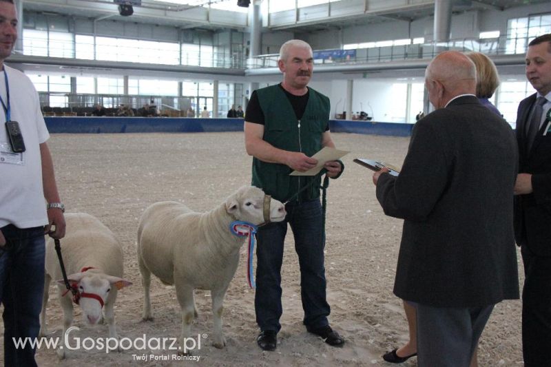 XXVI Krajowa Wystawa Zwierząt Hodowlanych - sobota i niedziela