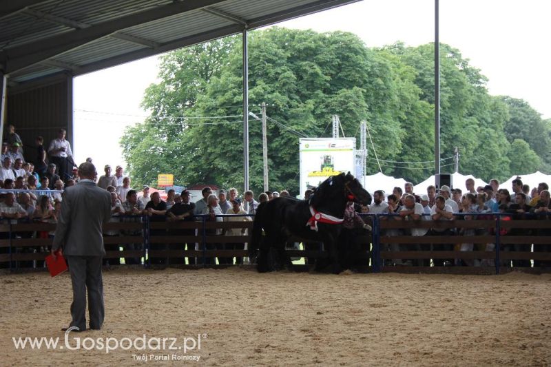 Regionalna Wystawa Zwierząt Hodowlanych i Dni z Doradztwem Rolniczym w Szepietowie-niedziela