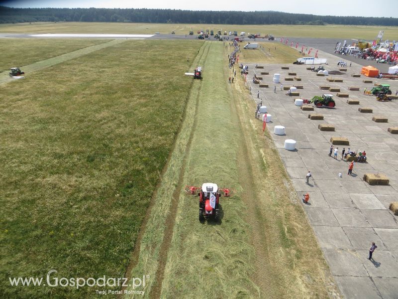 OPOLAGRA 2015 w Kamieniu Śląskim