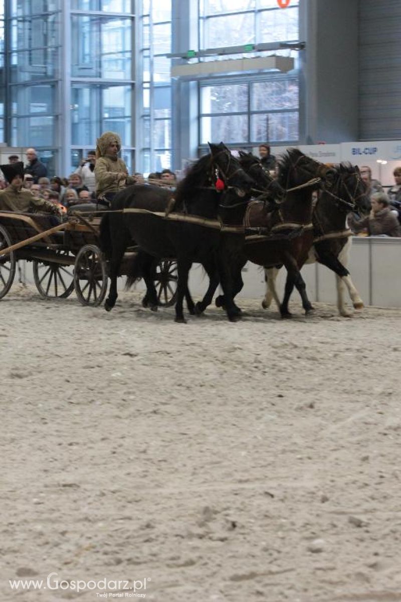 CAVALIADA 2013 w Poznaniu