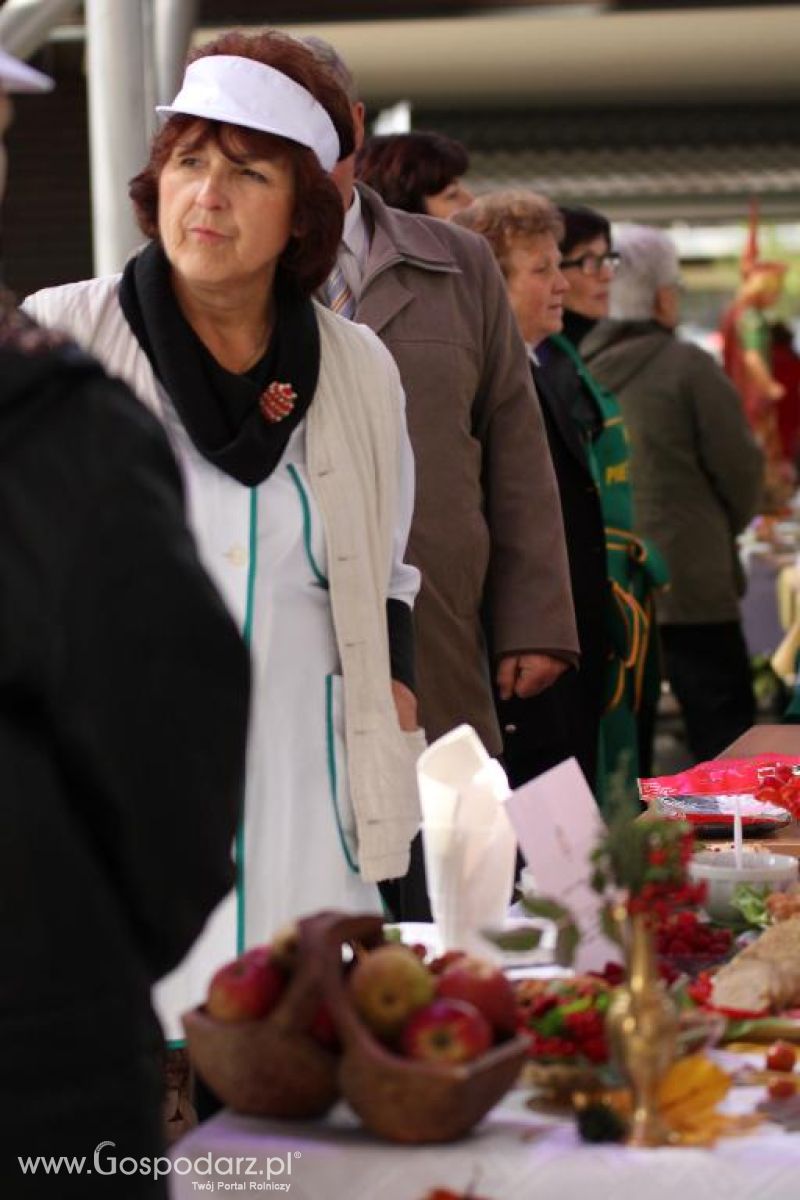 Święto Indyka w Ostródzie