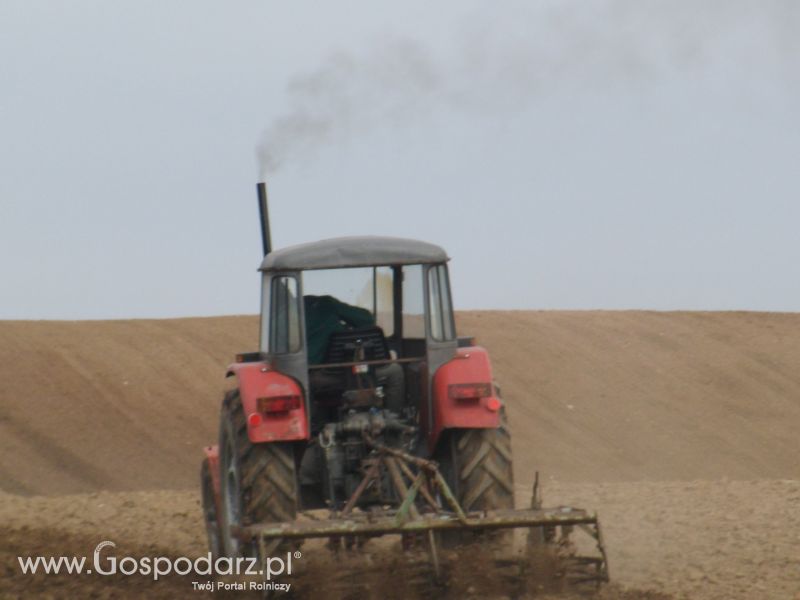 Wiosenne Przesiewki 2012 