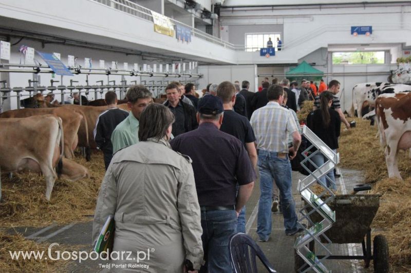 XXVI Krajowa Wystawa Zwierząt Hodowlanych - sobota i niedziela