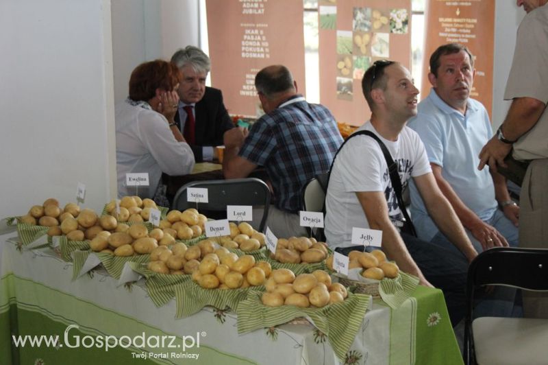 XIX Krajowe Dni Ziemniaka w Marszewie