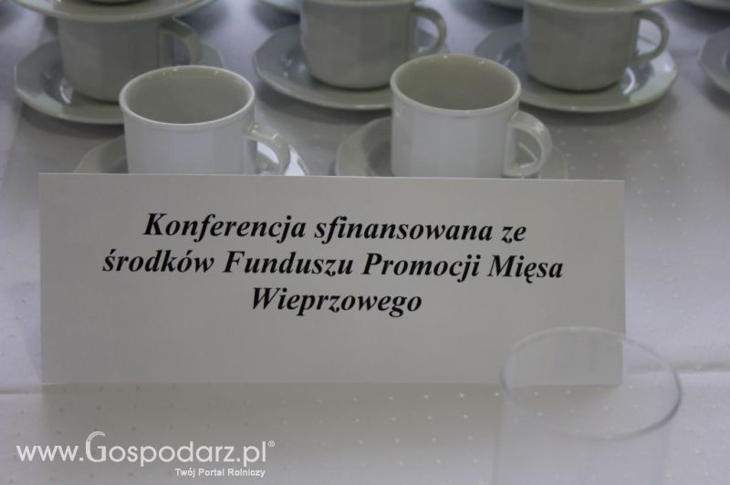 Konferencja przed II Festiwalem Wieprzowiny w Wąbrzeźnie