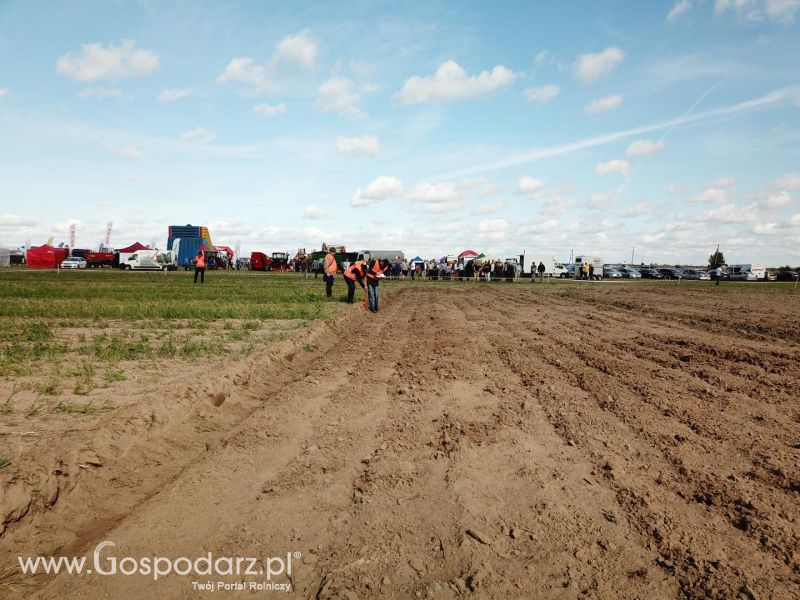 V Wojewódzki Konkurs ORKI - widok z drona