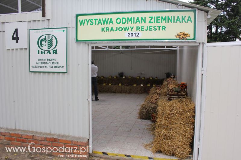 XIX Krajowe Dni Ziemniaka w Marszewie