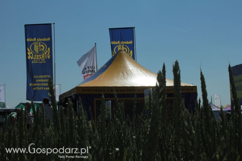 Polskie Zboża 2011 - Piątek 