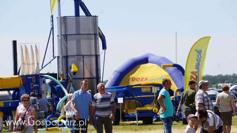 Opolagra 2017