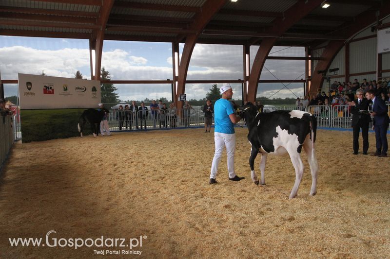 Agro-Tech Minikowo 2018